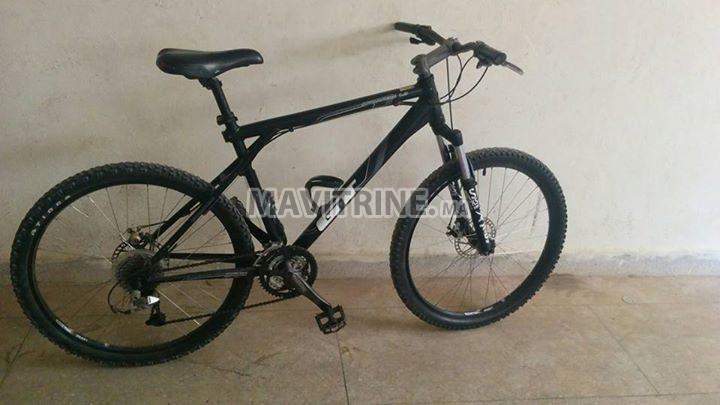 Vélo Avalanche 1.0 (VTT)