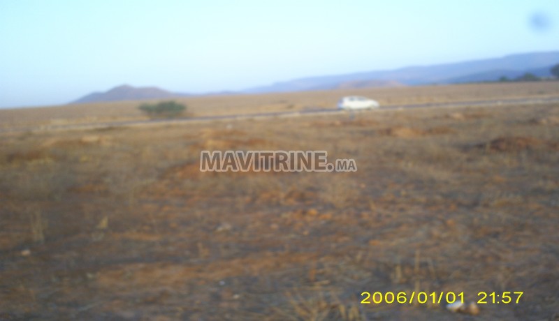 Terrain titré d'une superficie d'1 hectare sur la route oujda- touissante