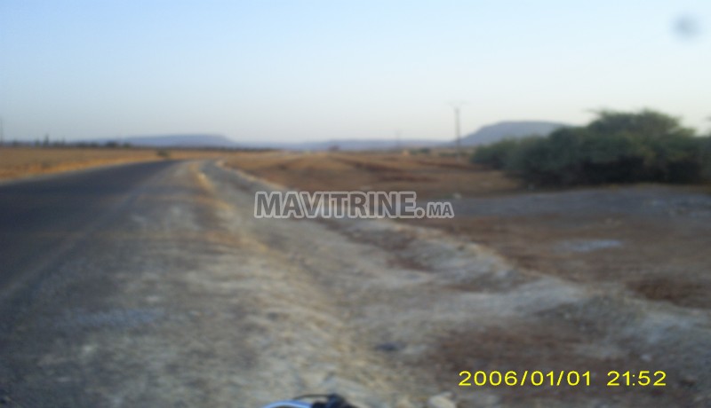 Terrain titré d'une superficie d'1 hectare sur la route oujda- touissante