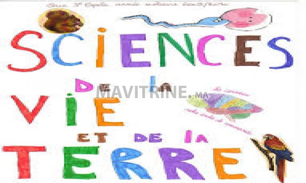 Cours de Soutien en Sciences par un Pro