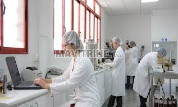 technicien de laboratoire H