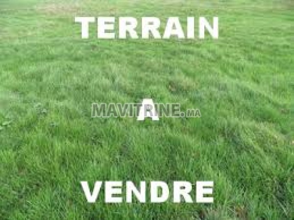 Terrain agricole de 27500m2 à Mohammedia