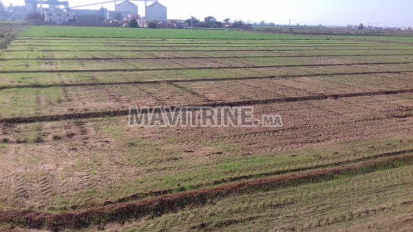 terrain agricole irrigué et titré