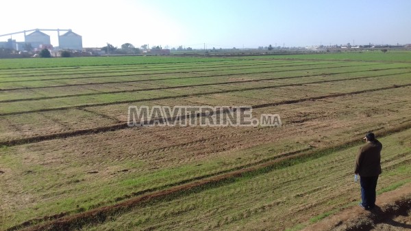 terrain agricole irrigué et titré