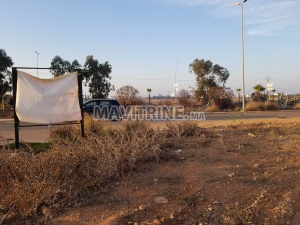 terrain de 1000m2 sur la route d'azemmour