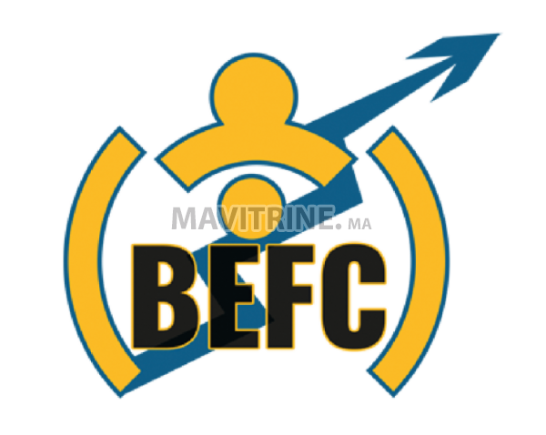 BEFC Recherche des Consultants en étude de Marché.