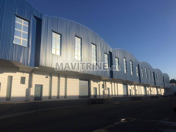 hangar à louer