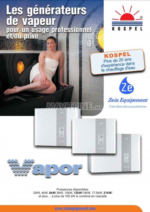 Générateur de vapeur pour Hammam