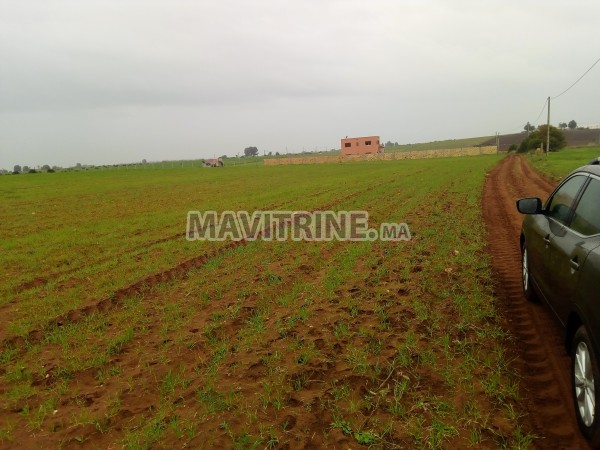 terrain agriculturé