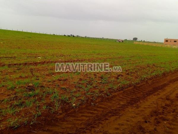 terrain agriculturé