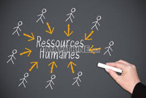 assistans ressource humains