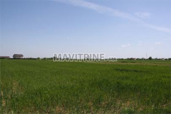 Terrain agricole de 180000 m²