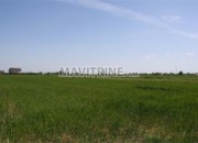 Photo de l'annonce: Terrain agricole de 180000 m²