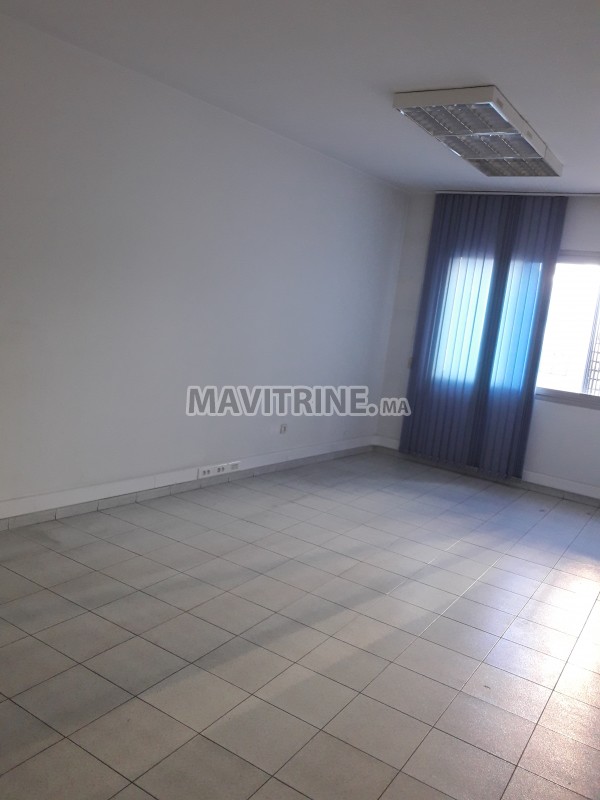 bureau à louer 100 m2 au 201 boulevard d anfa