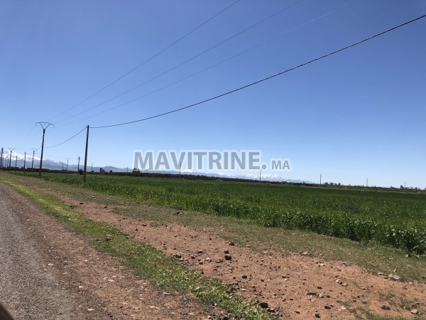 6 ha à vendre à Marrakech