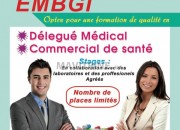 Photo de l'annonce: formation délegué médical -commercial de santé