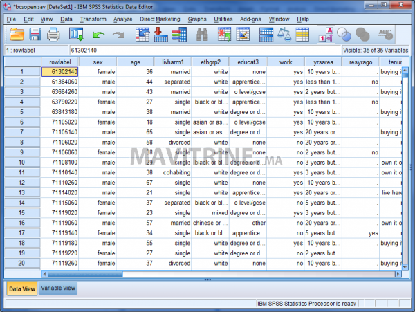 Formation Logiciel SPSS - Avancé