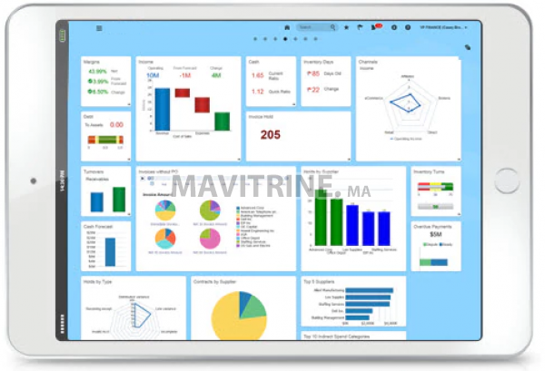 Intégration & maintenance de Solutions ERP Pour PME