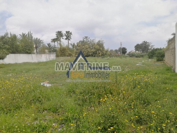 Terrain zone villa 2100m² AMBASSADEURS Rabat