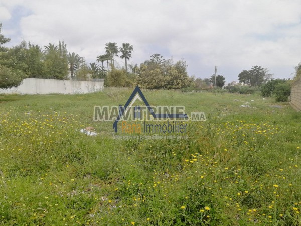 Terrain zone villa 2100m² AMBASSADEURS Rabat