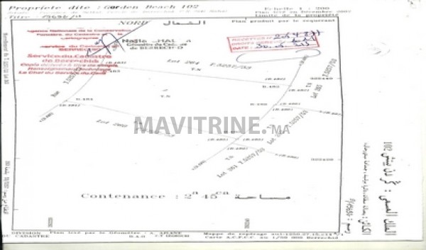 terrain à vendre Mrirt 10ha