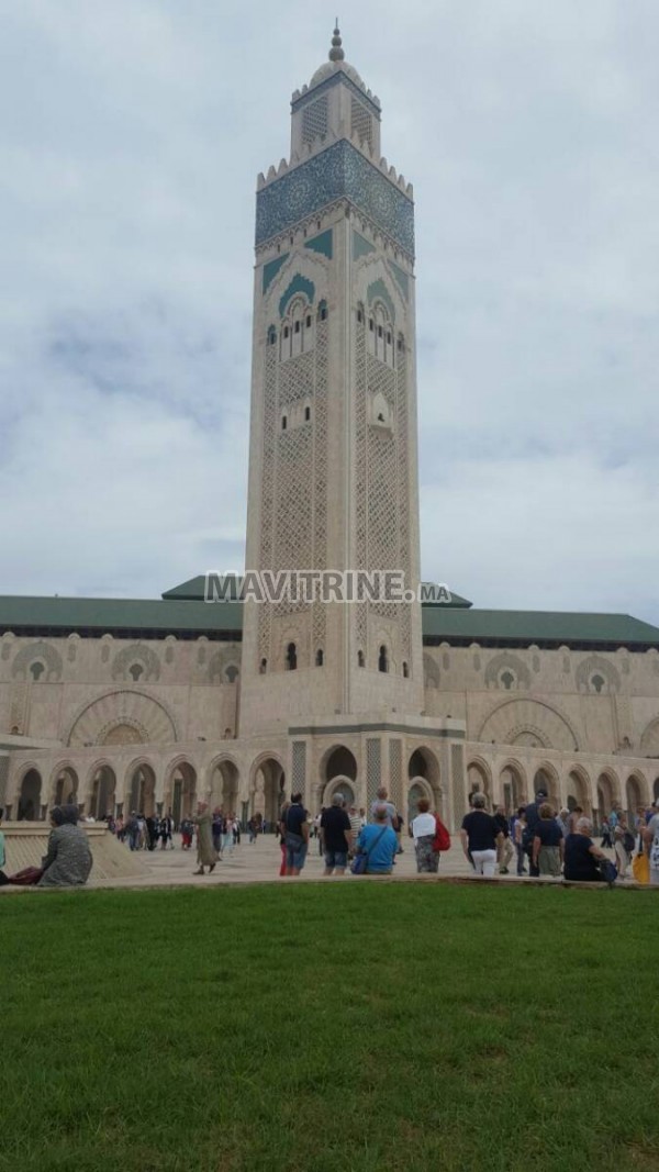 transfert navette aeroport cntre casablanca