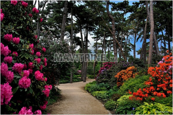 Jardinage  à Rabat  jardinage au maroc