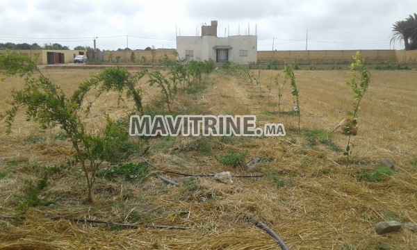 Vente de ferme