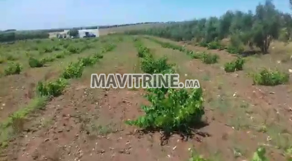 FERME de 12000 m à vendre