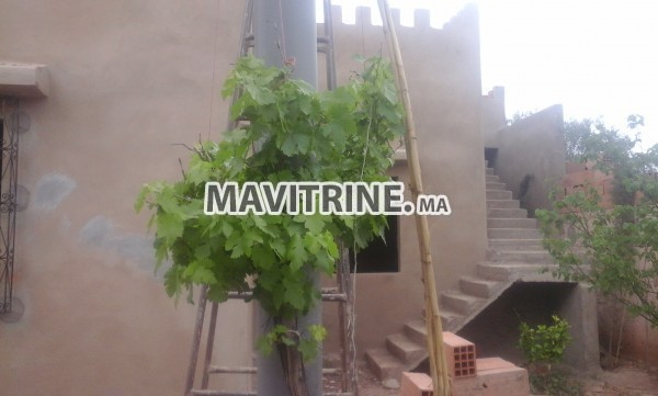 maison semi-finie avec jardin (600m2)