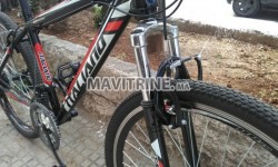 Vélo ITALIANO BIKE pic shimano