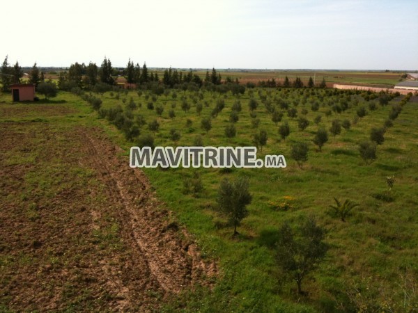 ferme et petite villa titré région kamouni