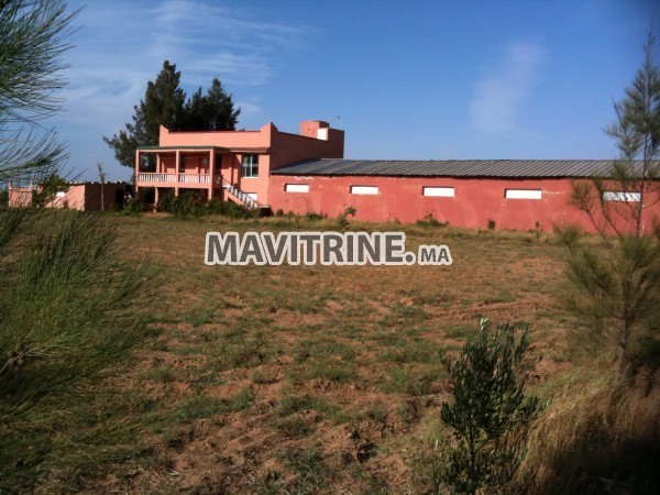 ferme et petite villa titré région kamouni