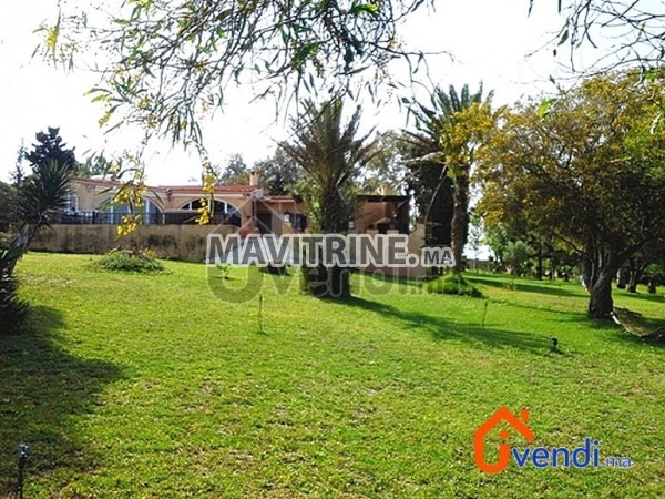 Ferme 1,36 hectare avec villa plain pied – Sidi Rahal