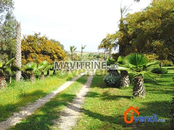 Ferme 1,36 hectare avec villa plain pied – Sidi Rahal