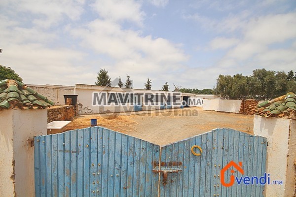 Ferme 1,36 hectare avec villa plain pied – Sidi Rahal