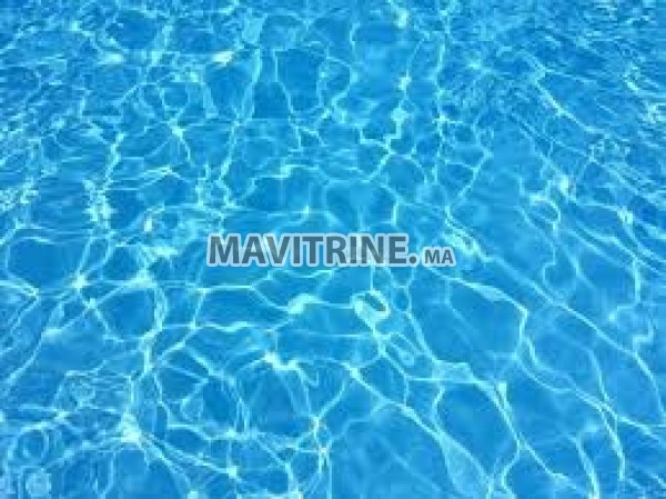 Nettoyeur de piscine et travaux divers