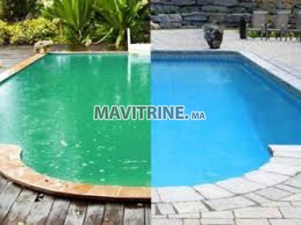 Nettoyeur de piscine et travaux divers