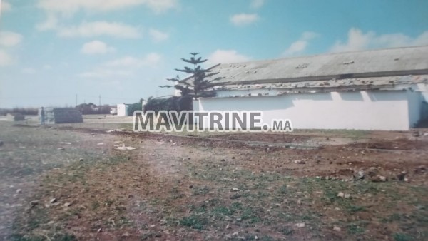 Terrain avec hangar sur la route f'azemmour et casablanca