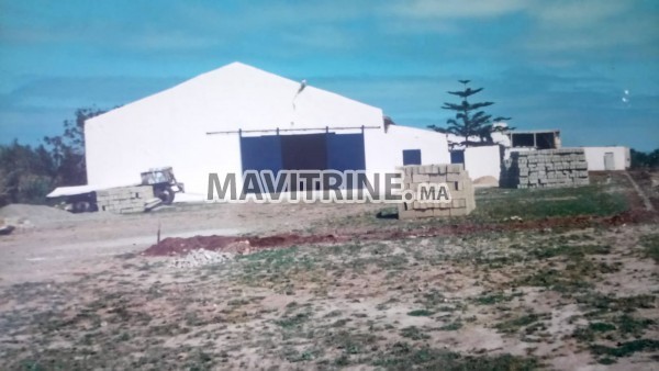 Terrain avec hangar sur la route f'azemmour et casablanca