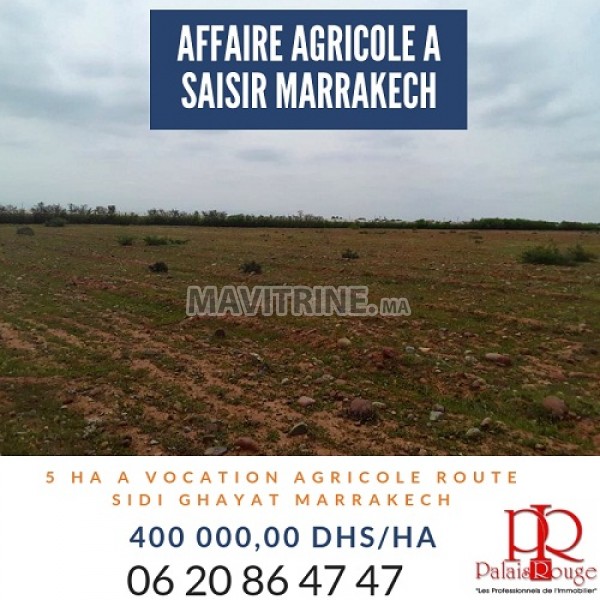 AFFAIRE: TERRAIN AGRICOLE A VENDRE : 5 HA: Marrakech