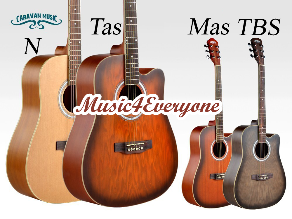 Guitares acoustiques