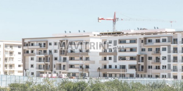 terrain 8000 m2 victoria city