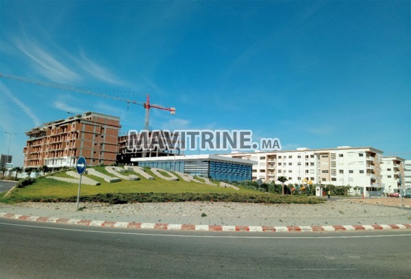 terrain 8000 m2 victoria city