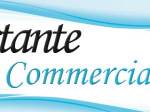 Assistantes commerciale