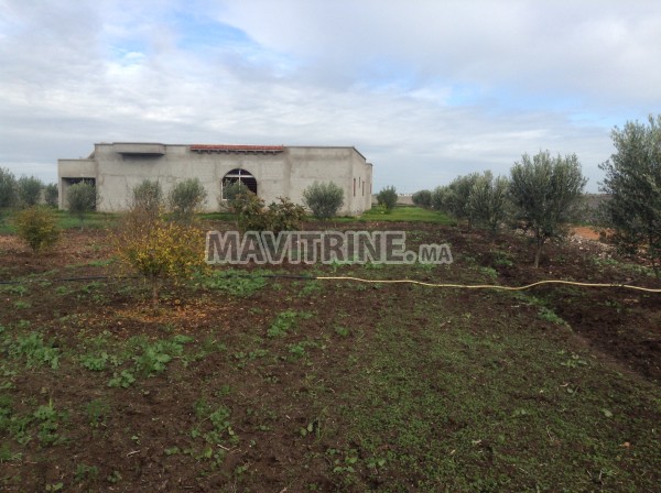 Ferme avec Villa 40mins de casablanca