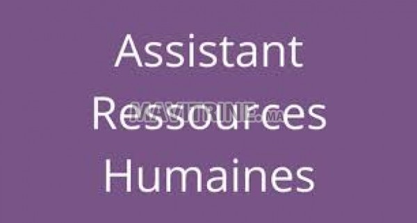 Assistant(es) Ressources Humaines