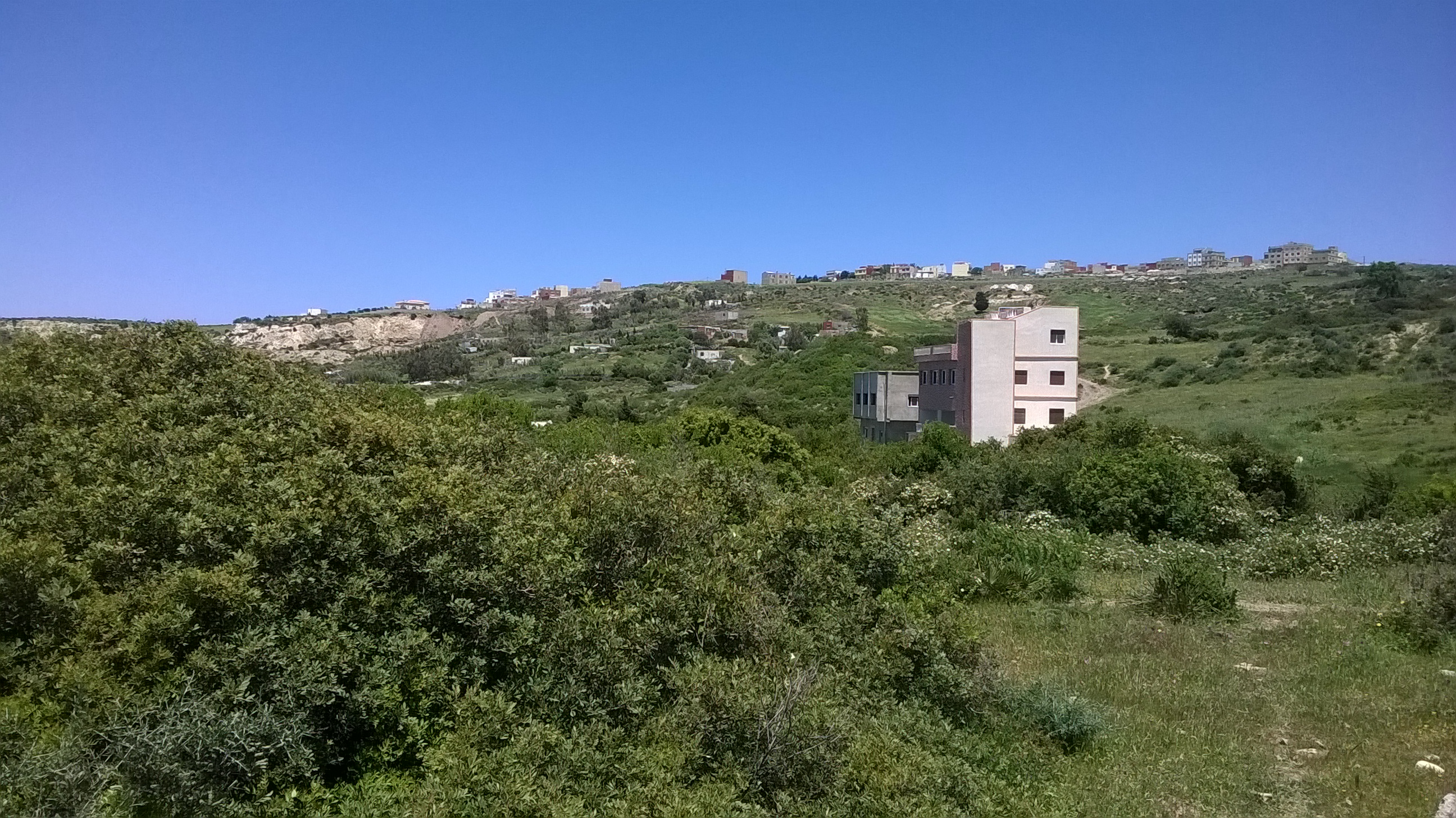 Terrain Titre( 4827 )M² pour villas , À Tanger malabata