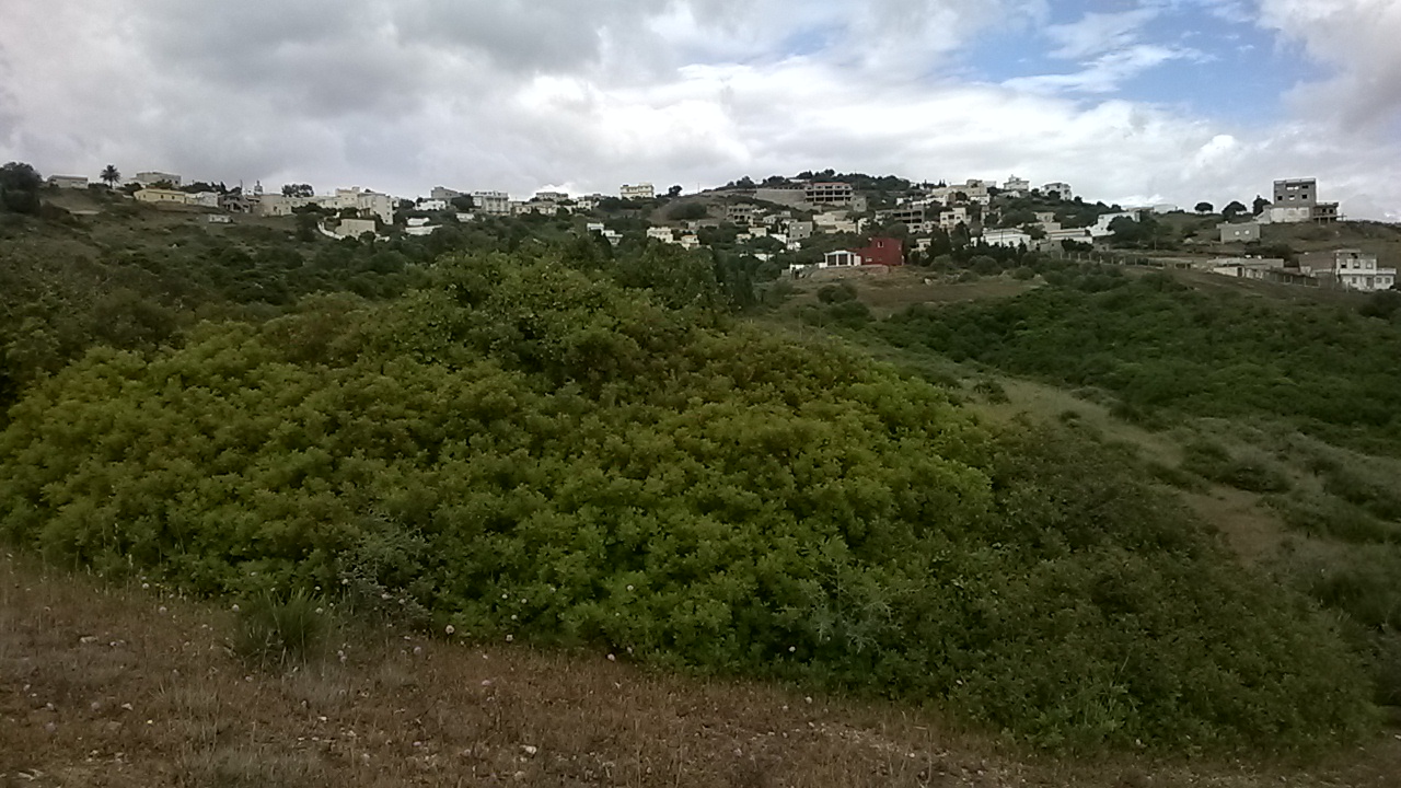 Terrain Titre( 4827 )M² pour villas , À Tanger malabata