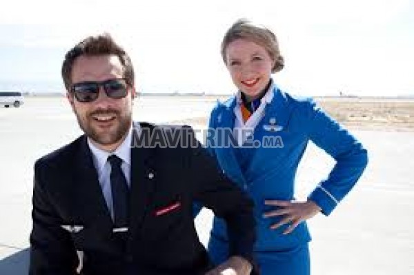 Les hôtesses de l'air et les stewards